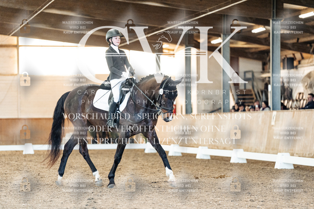 CK907142 | Turnierfotografie Pferdefotografie Trier Rheinland-Pfalz Pferdesport Reitsport Tierfotografie Sportfotografie Pferdevideo Pferdevideografie Equestrianvideography equestrianphotography  - Realisiert mit Pictrs.com