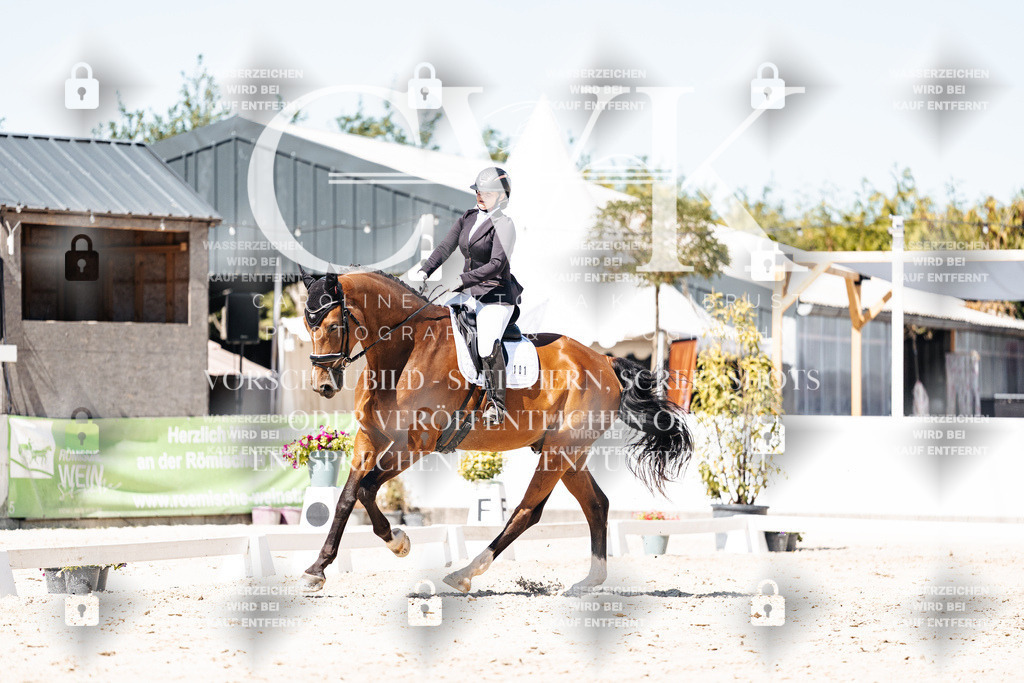 CK900042 | Turnierfotografie Pferdefotografie Trier Rheinland-Pfalz Pferdesport Reitsport Tierfotografie Sportfotografie Pferdevideo Pferdevideografie Equestrianvideography equestrianphotography  - Realisiert mit Pictrs.com