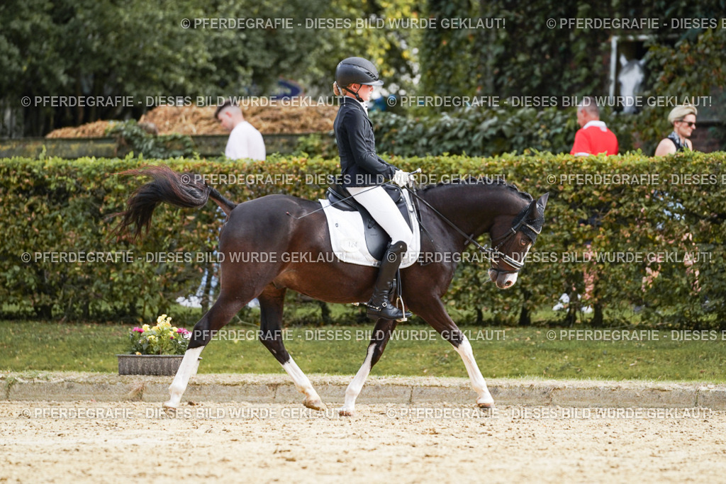 DSC04934 | Pferdegrafie