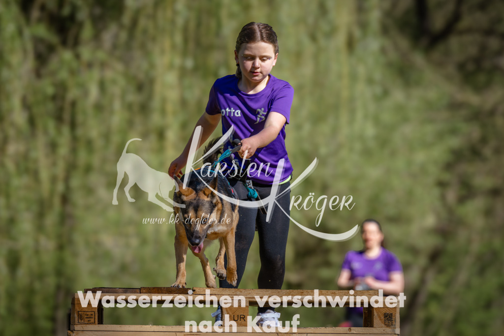 1011_ZZ94583 | kk-dogfotos