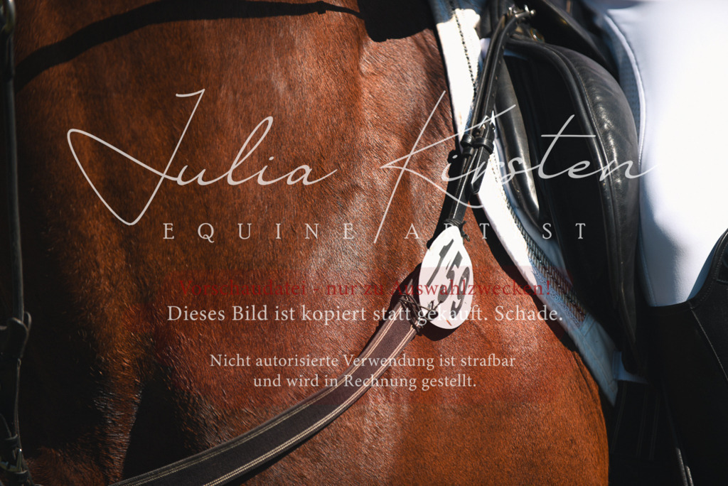 DSC_7163 | Pferde- und Turnierfotografie in Westsachsen. Pferdeportraits, Auftragszeichnungen und intuitive Kunst.