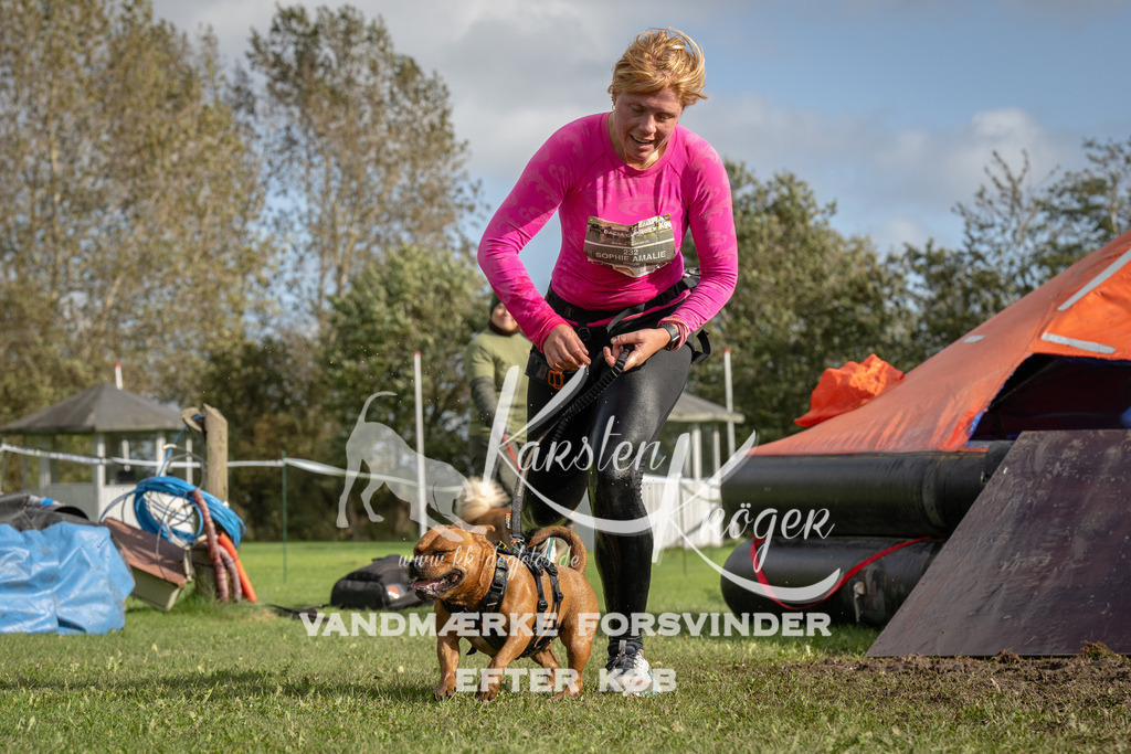 1421-94018 | kk-dogfotos