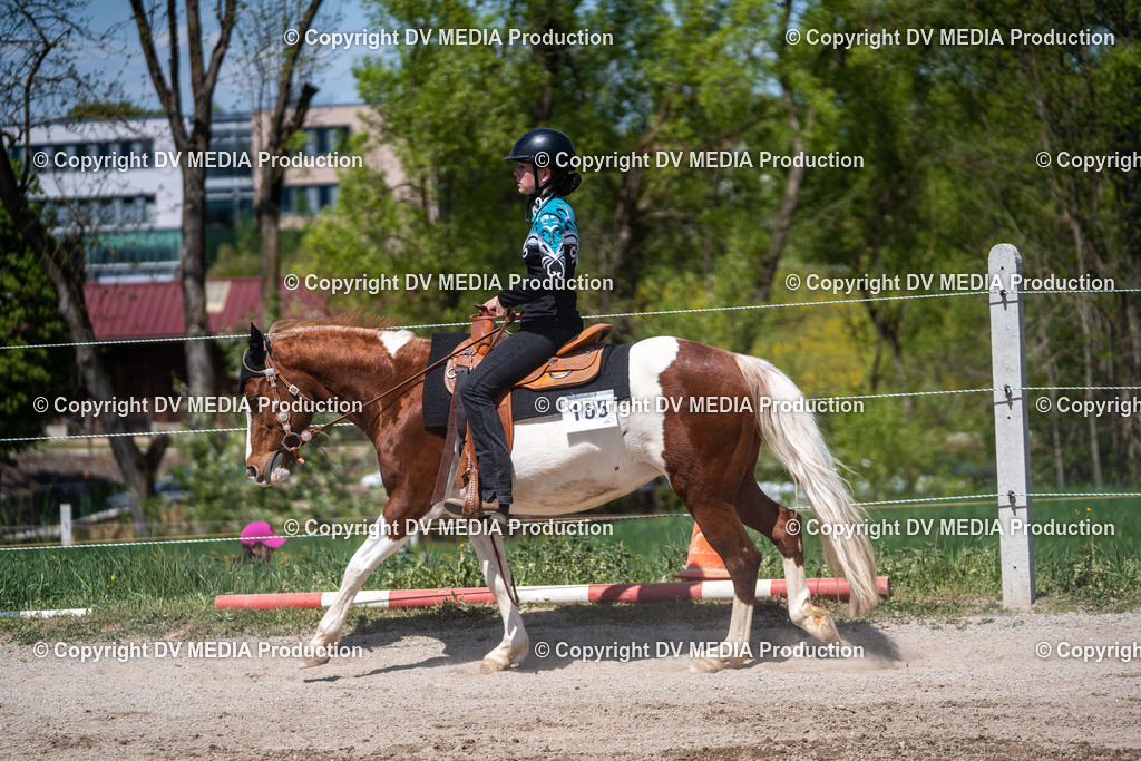 Balingen Tag 2-1122 | dv-media-shop - Realisiert mit Pictrs.com