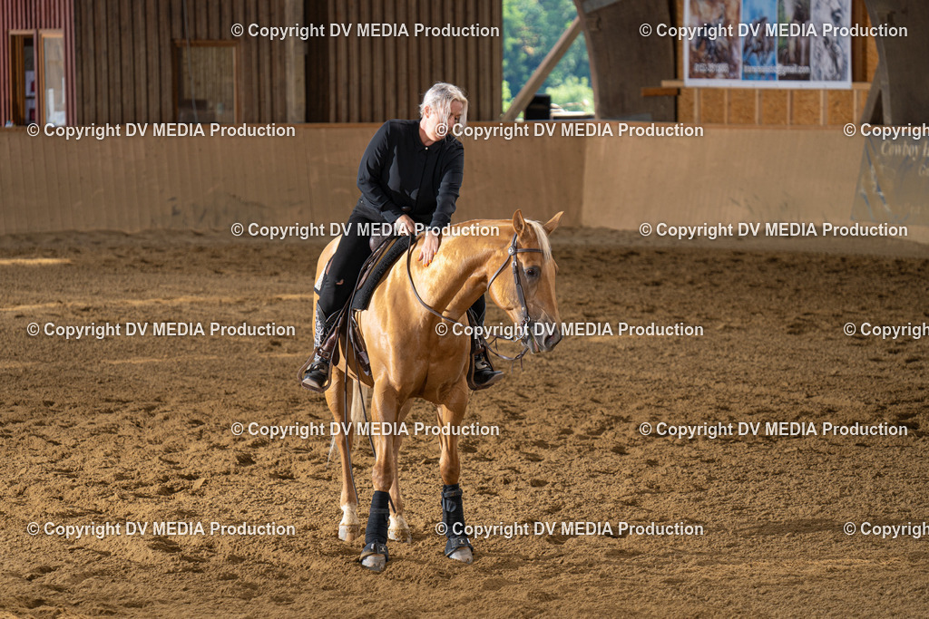 DSC00098 | dv-media-shop - Realisiert mit Pictrs.com