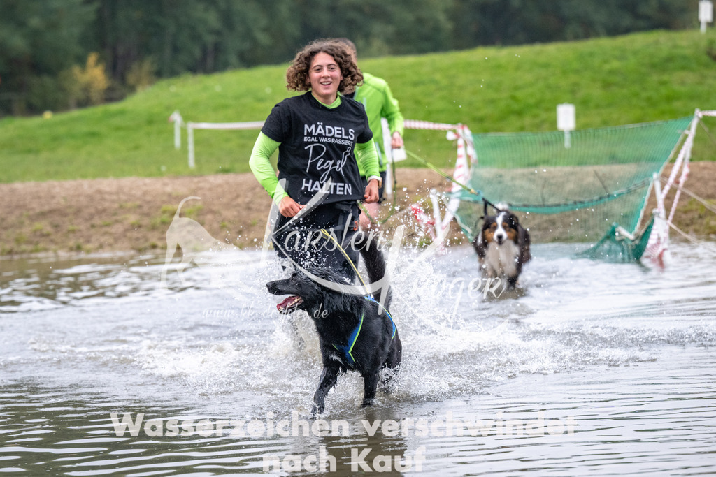 0841_ZZ92411 | kk-dogfotos