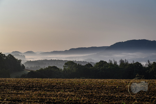 DSC_2638-10 | Shop für Prints Landschaftsfotografie Sächsische Schweiz Naturfotografie in Thüringen Fotos vom Findlingspark Nochten Kloster Sankt Marienstern Bilder Festung Königstein PanoramaRhododendronpark Kromlau FotogalerSchleswig-Holstein Küstenlandschaften