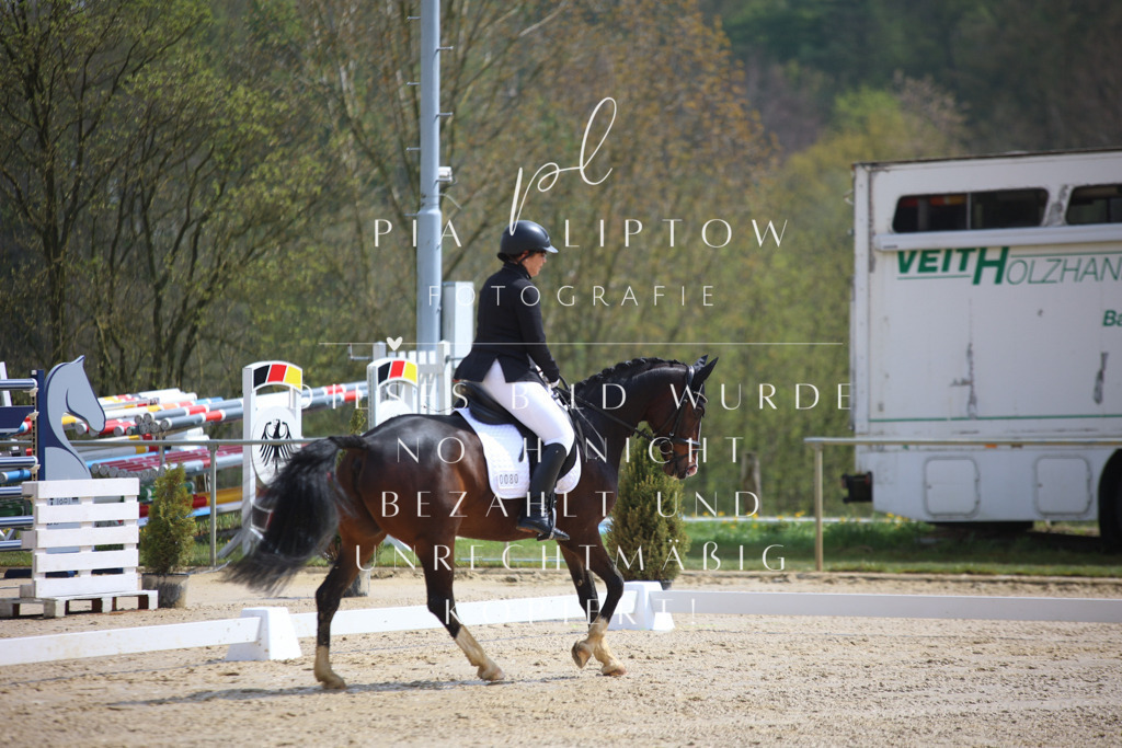 IMGT2455 | pl-fotografie