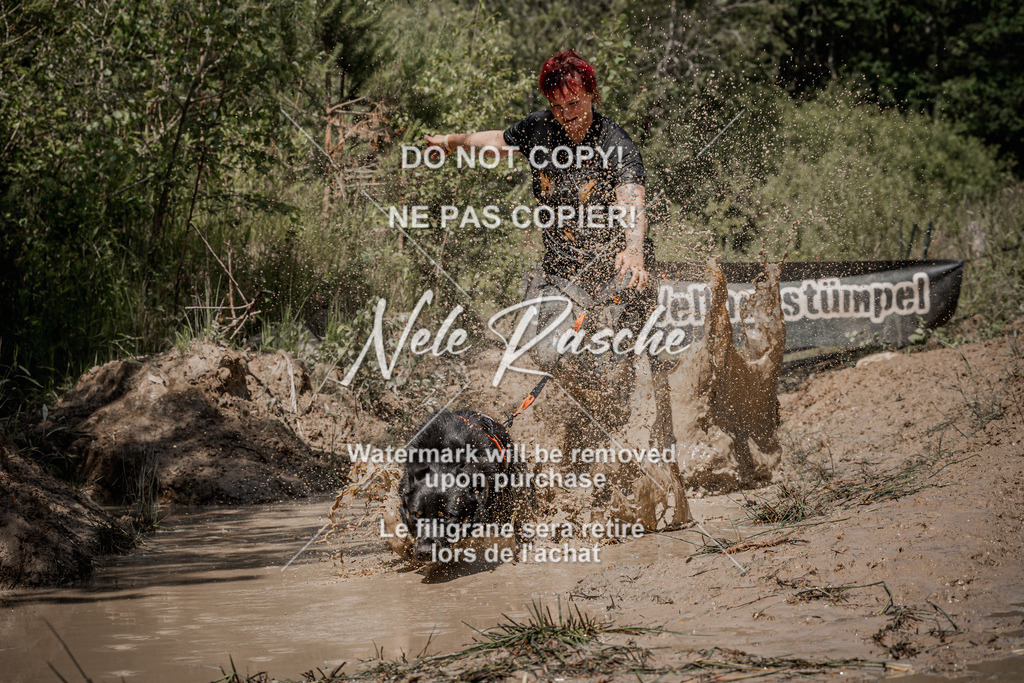 nelerasche_Hoope2026_Sa1300-1330_151 | nelerasche