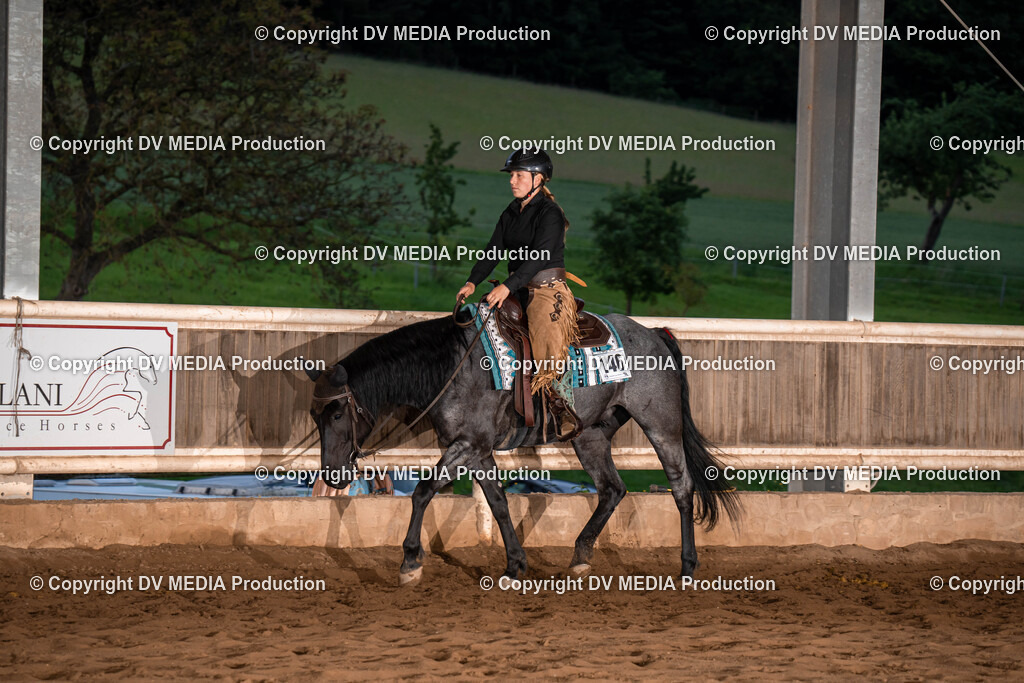 Erbach Tag 1-1192 | dv-media-shop - Realisiert mit Pictrs.com