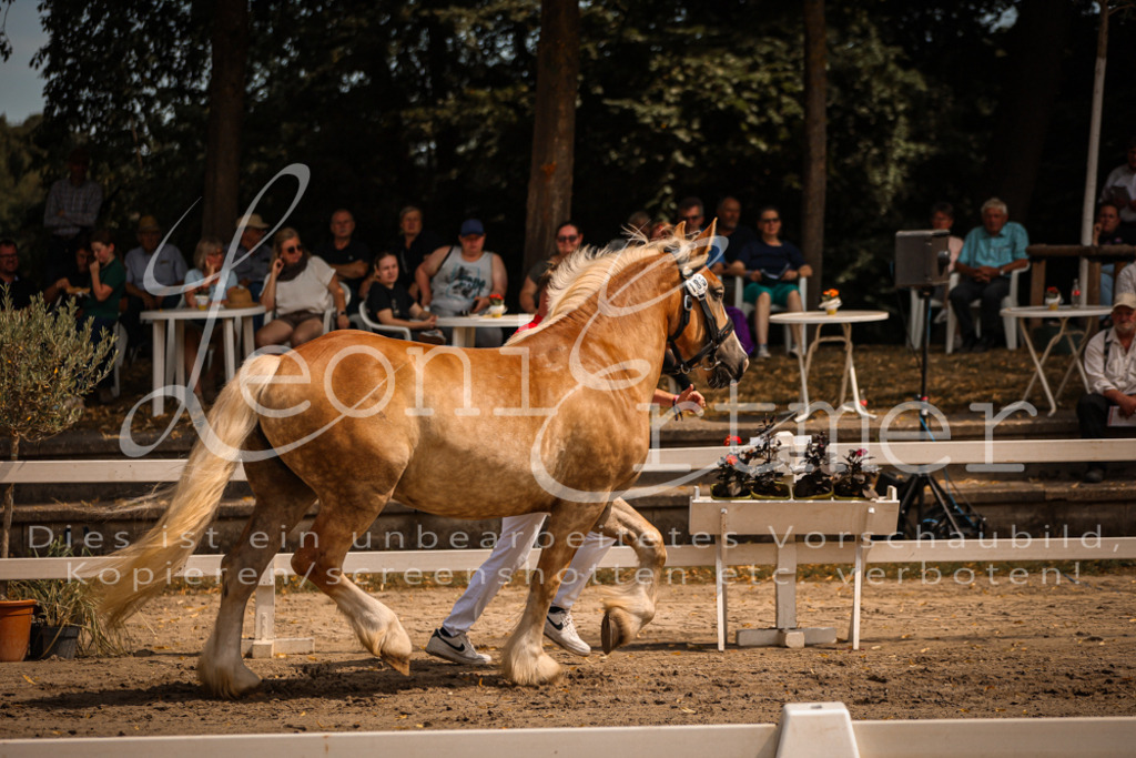 2.Sa00057 | Leoni Ertmer Photography - Realisiert mit Pictrs.com