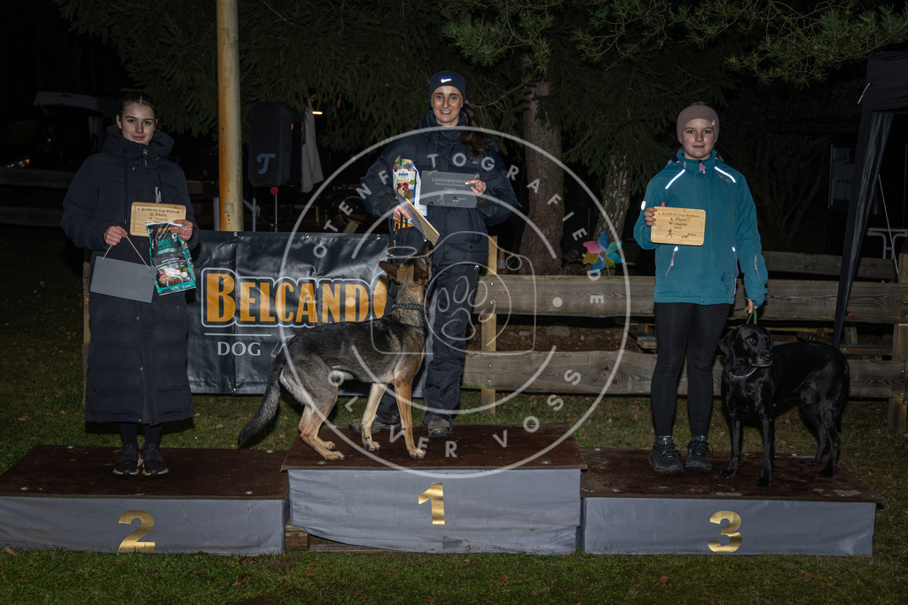 Pfotenfotografie_0L8A1948 | Hundefotografie, Tierfotograf, Pfotenfotografie, Fotoshooting Hund, Hunde Portrait, Hundesport, Hundeportraits, Heideshooting, Hunde, Sportfotograf, Hundefotograf, Turnierhundsport, THS,  - Realisiert mit Pictrs.com
