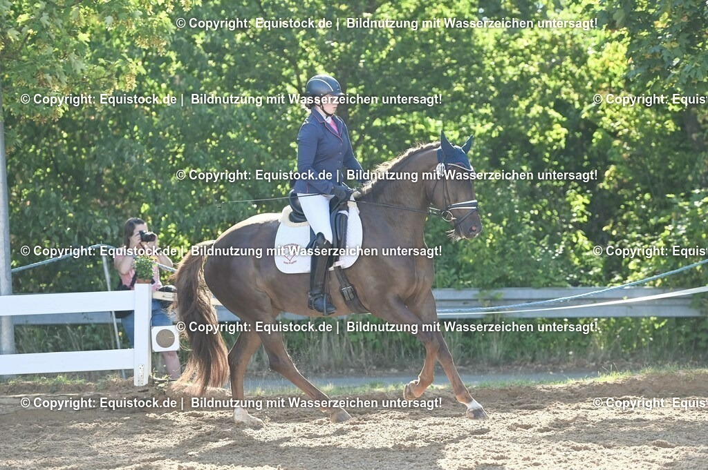 20230715_06_Dressurpferdeprfg. Kl.A_0150 | equistock