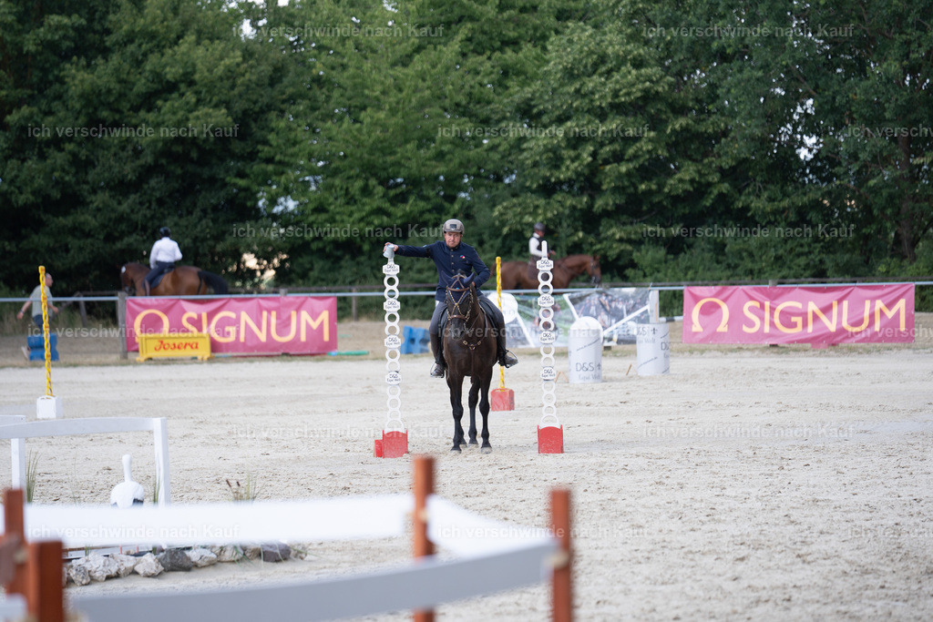 WS_SP_37_SinaFilmArt_IN08479 | working equitationturnier fotograf videograf stoibphotography marixx film working equitation deutschland reitsport turnierfotografie eventfotografie equestrian events