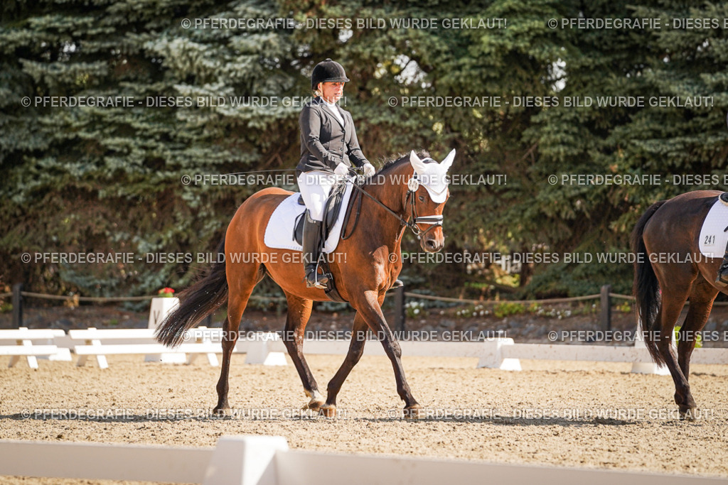 DSC00465 | Pferdegrafie