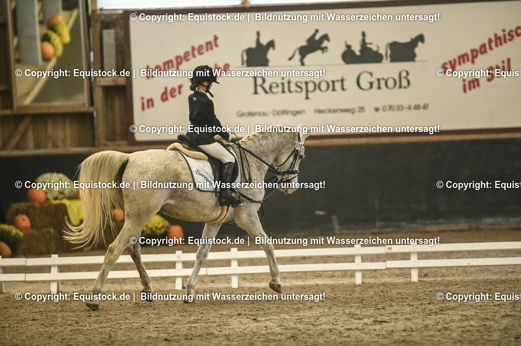 20231029_02_Reiter-WB_Schritt-Trab-Galopp_Abteilung-02_0016 | Foto: Thomas Hartig