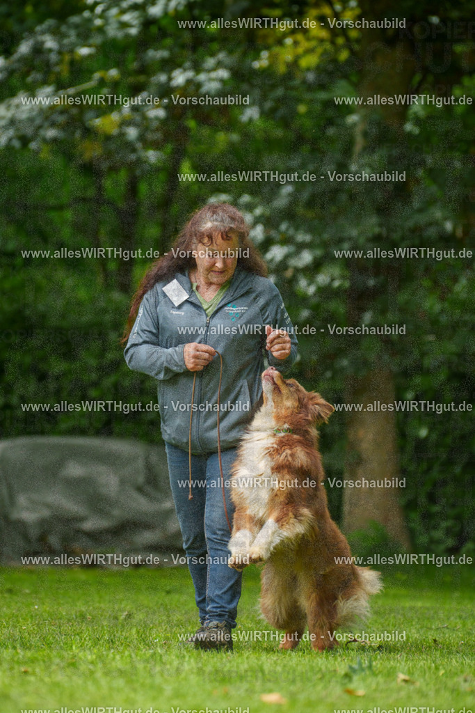 @allesWIRTHgut_Tierfotografie - www.allesWIRTHgut.de - 7R500771 | Professionelle Tierfotografie in Mönchengladbach von Daniel Wirth (allesWIRTHgut). Liebevolle & natürliche Bilder von Hunden & Katzen für unvergessliche Erinnerungen.