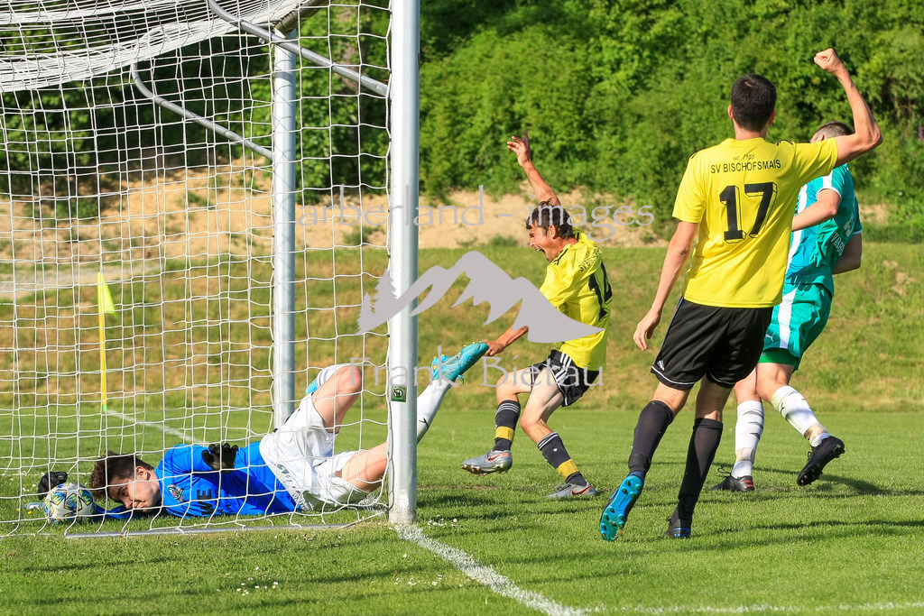 993T1514 | Medien- Sport- Entertainmentfotos