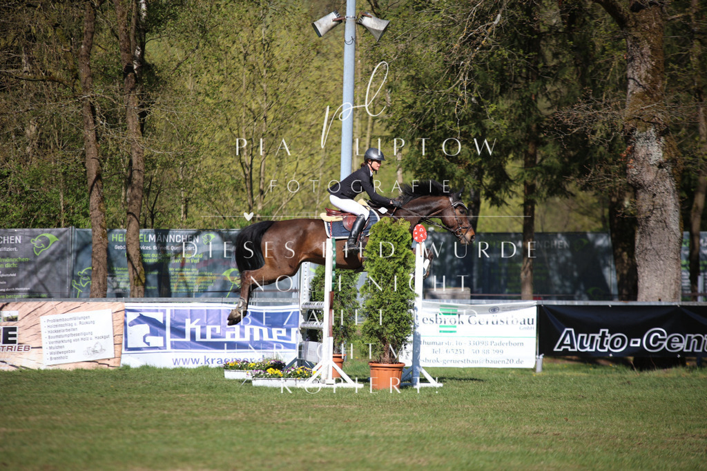 IMGT0407 | pl-fotografie