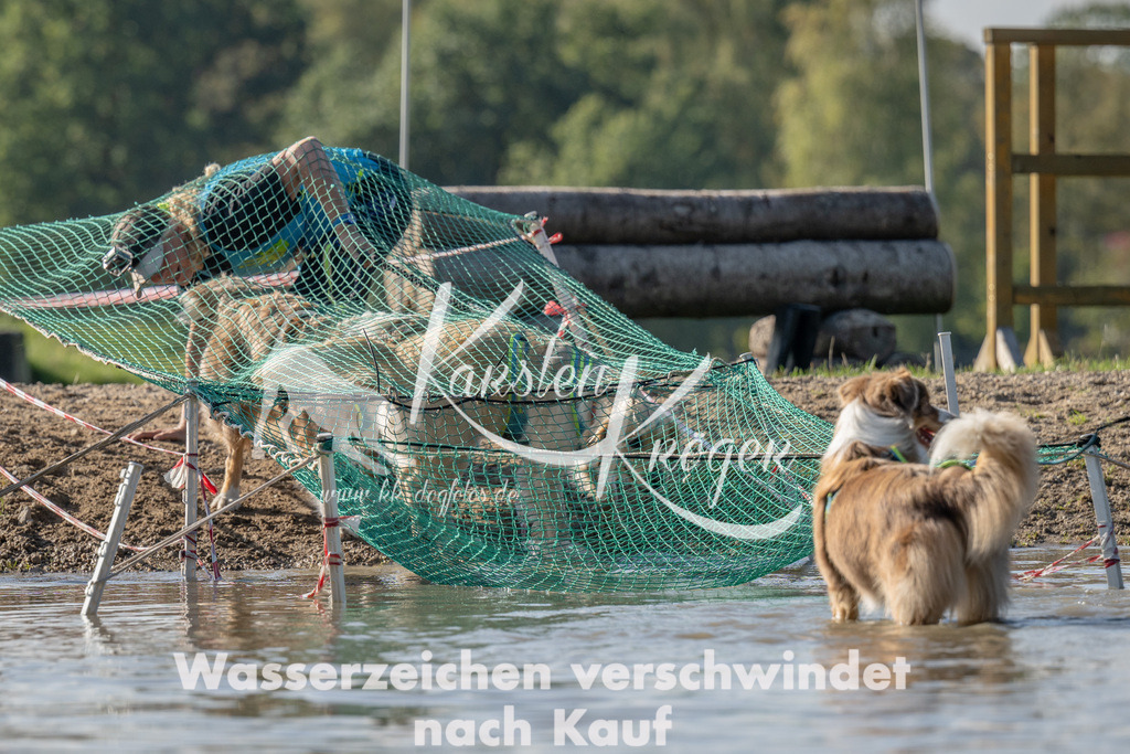1406_ZZ91736 | kk-dogfotos