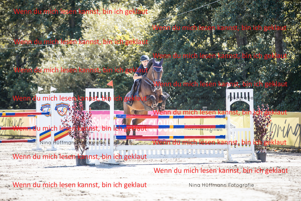 BK1A6695 | Turnierbilder Turnierfotos Nina Hüffmann Turnierfotografie Pferdefotografie Tierzeichnung Haustierzeichnung Pferdezeichnung Hundezeichnung Videograf  - Realisiert mit Pictrs.com