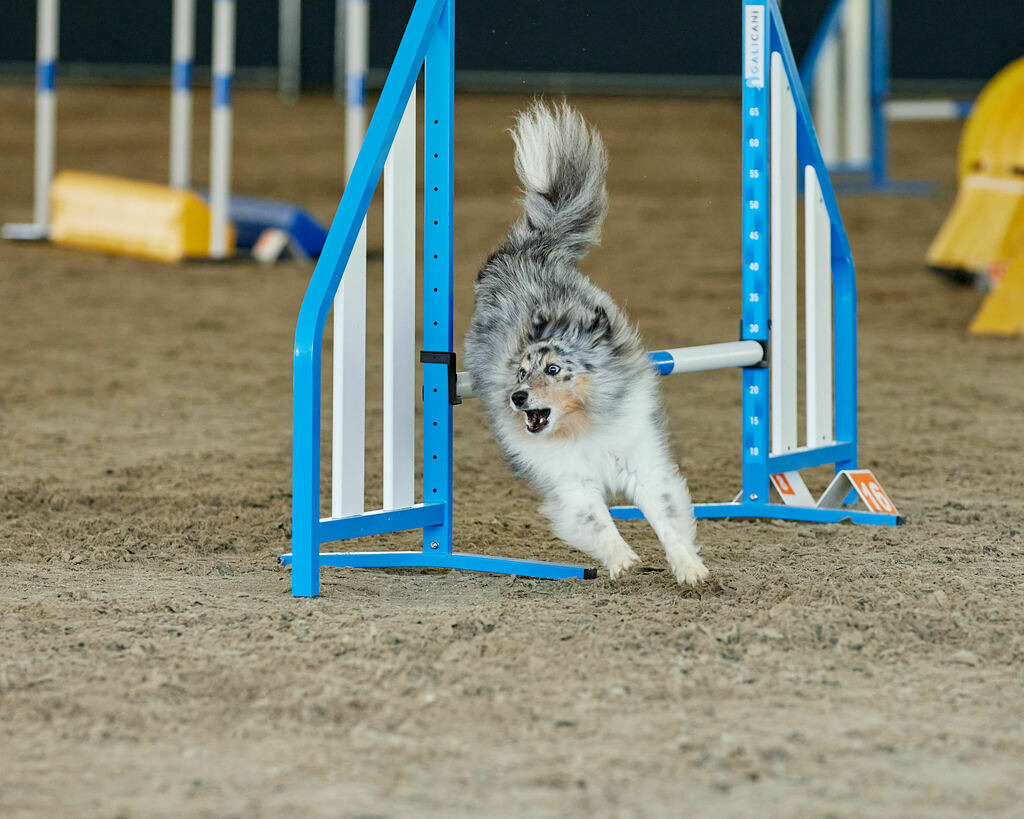 580B0097 | Peter Fridle Fotografie - Realisiert mit Pictrs.com