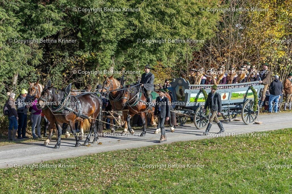 LBT25-501 | foto-bettina-krinner - Realisiert mit Pictrs.com