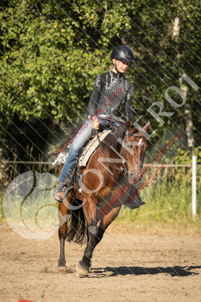 IMG_6708 | Sport-, Event- und Tierfotos in Profiqualität. Einfach auswählen, bestellen und herunterladen. Dein Moment – perfekt festgehalten.