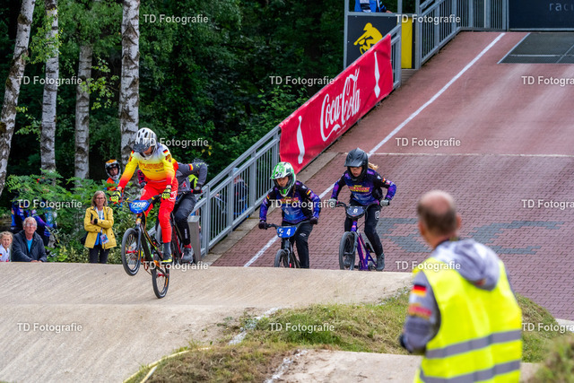 BayBMX2026-06778 | Fotogalerie von Thomas Dettweiler mit Eventbildern und lizenzfreien Fotos. Perfekt als Wandbild, für Büro, Website oder private Nutzung. - Realisiert mit Pictrs.com