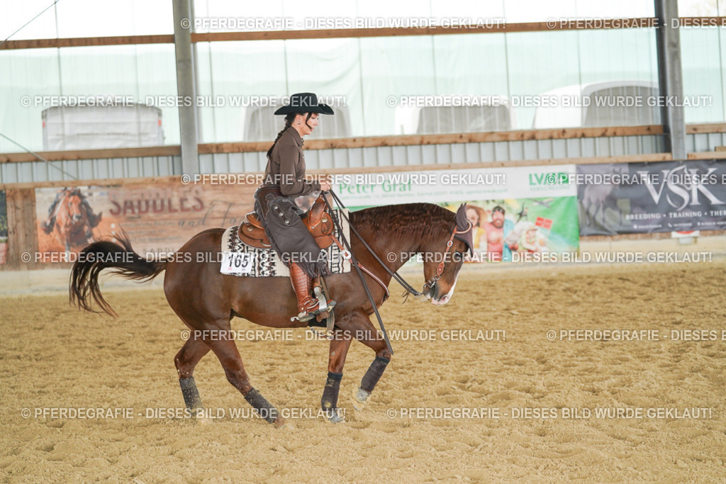 DSC04833 | Pferdegrafie