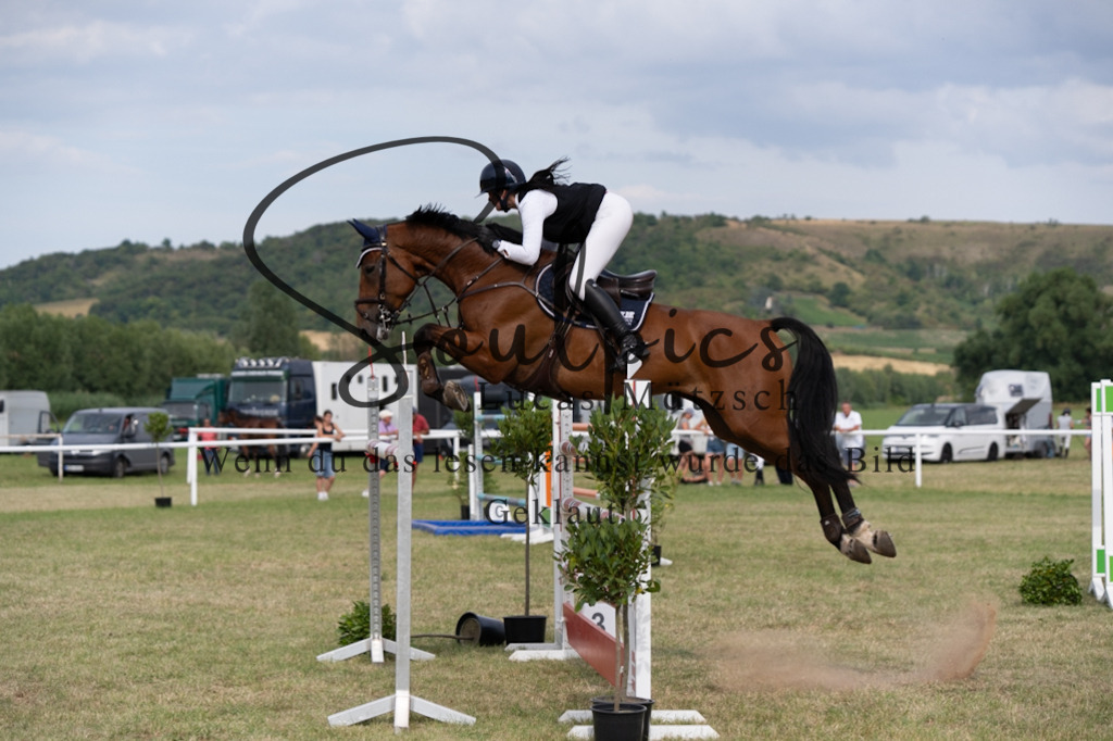 A7V02758 | Pferdefotograf