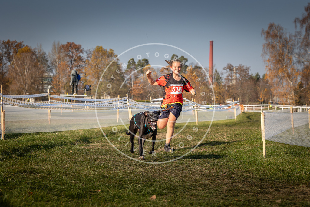 CaniXpix_0L8A9003 | Hundefotografie, Tierfotograf, Pfotenfotografie, Fotoshooting Hund, Hunde Portrait, Hundesport, Hundeportraits, Heideshooting, Hunde, Sportfotograf, Hundefotograf, Turnierhundsport, THS,  - Realisiert mit Pictrs.com