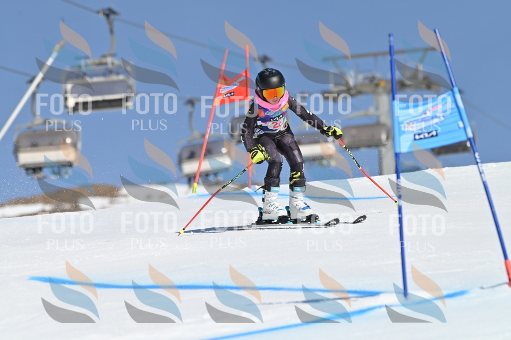 BGV_8042 | holidayphoto