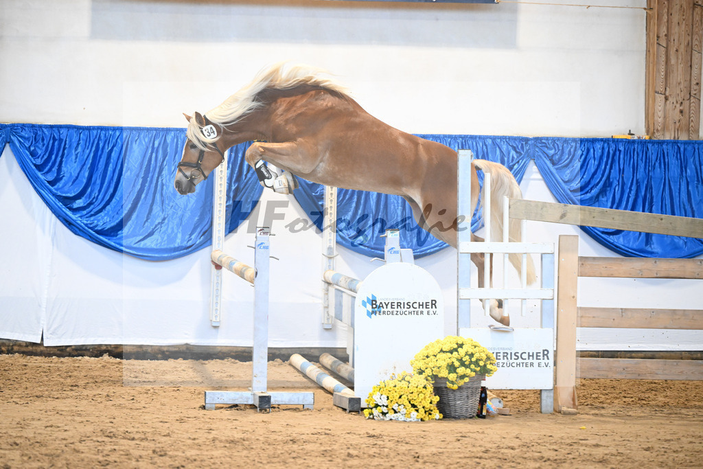 Kat-Nr. 34 nn v. Starino I_Grimminger_48250726 | hf-fotografie - Realisiert mit Pictrs.com