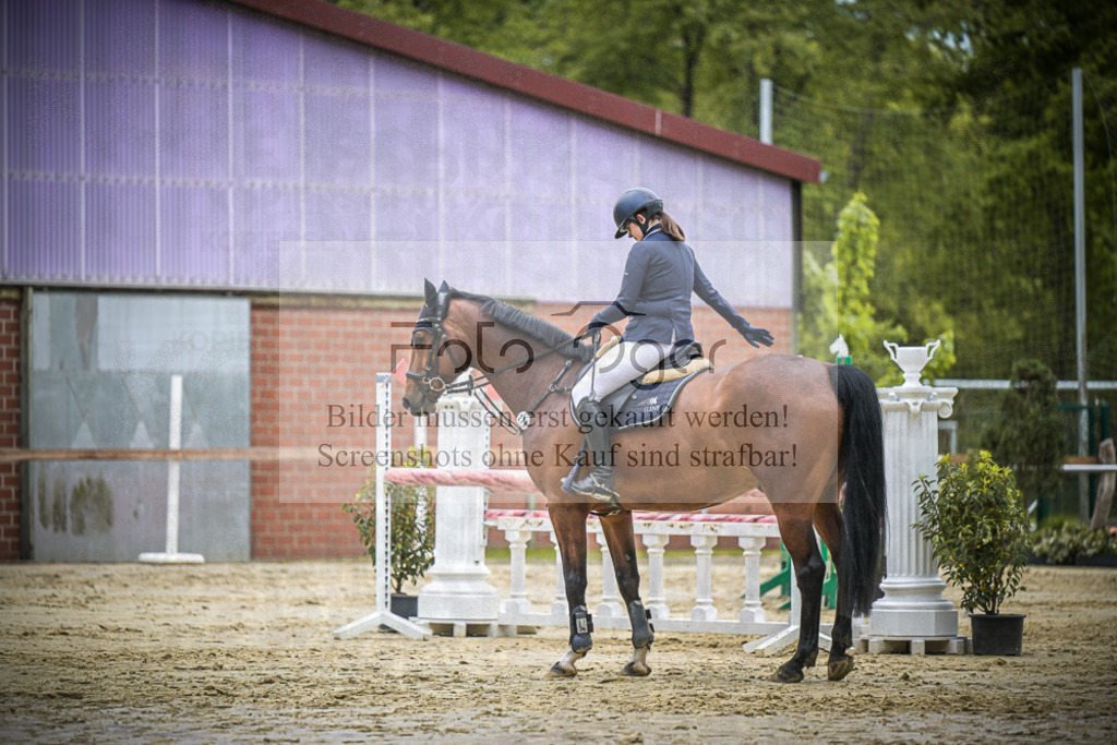 DOS_6227 | Entdecke hochwertige Reitturnierfotos von Foto Oger. Professionell, emotional und authentisch – jetzt Lieblingsmomente im Shop bestellen.Deutschlandweite Turnierfotografie. - Realisiert mit Pictrs.com