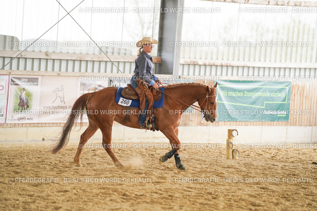 DSC05555 | Pferdegrafie