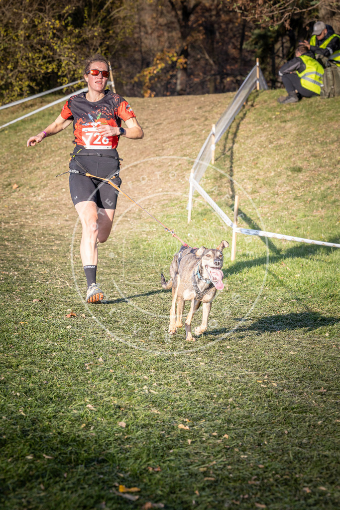 CaniXpix_0L8A9692 | Hundefotografie, Tierfotograf, Pfotenfotografie, Fotoshooting Hund, Hunde Portrait, Hundesport, Hundeportraits, Heideshooting, Hunde, Sportfotograf, Hundefotograf, Turnierhundsport, THS,  - Realisiert mit Pictrs.com
