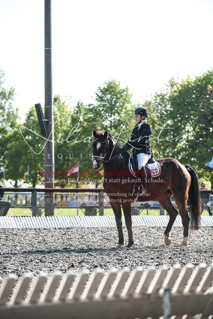 DSC_8280 | Pferde- und Turnierfotografie in Westsachsen. Pferdeportraits, Auftragszeichnungen und intuitive Kunst.