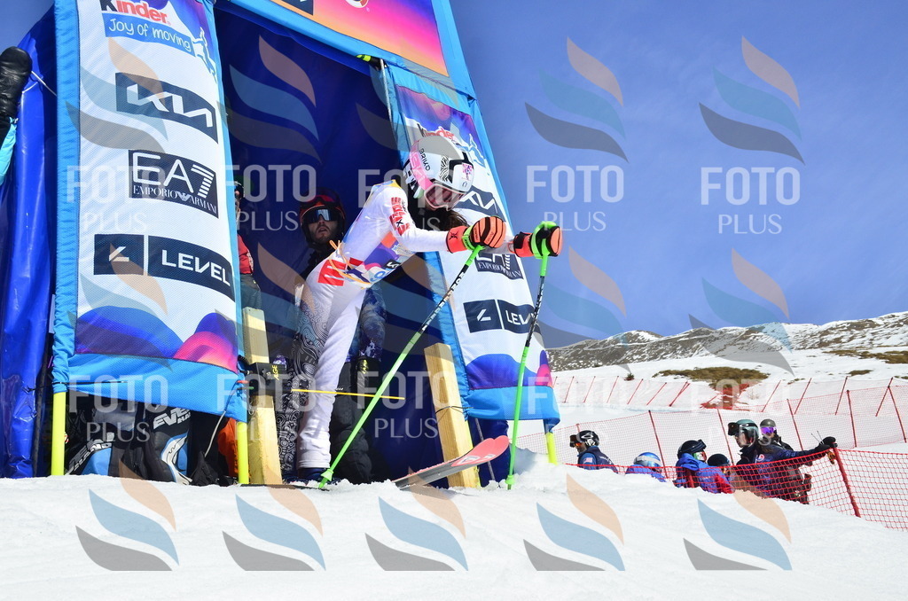 _ELE0525 | holidayphoto