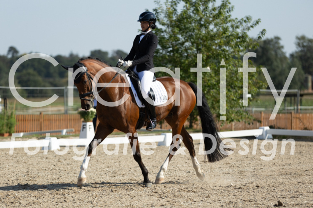 IMG_6064 | Creatify Fotografie