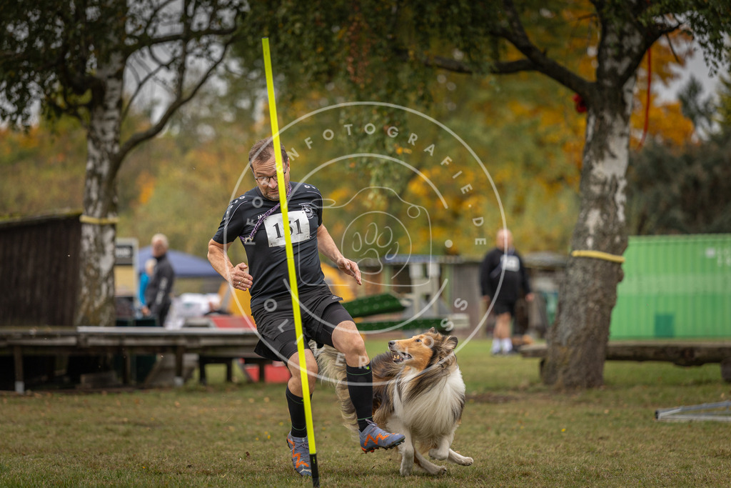 Pfotenfotografie_DV3A6129 | Hundefotografie, Tierfotograf, Pfotenfotografie, Fotoshooting Hund, Hunde Portrait, Hundesport, Hundeportraits, Heideshooting, Hunde, Sportfotograf, Hundefotograf, Turnierhundsport, THS,  - Realisiert mit Pictrs.com