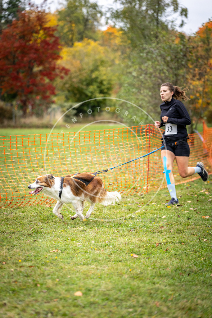 Pfotenfotografie_DV3A2155 | Hundefotografie, Tierfotograf, Pfotenfotografie, Fotoshooting Hund, Hunde Portrait, Hundesport, Hundeportraits, Heideshooting, Hunde, Sportfotograf, Hundefotograf, Turnierhundsport, THS,  - Realisiert mit Pictrs.com