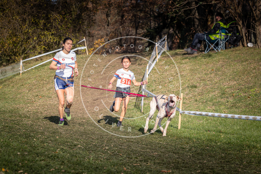CaniXpix_0L8A8570 | Hundefotografie, Tierfotograf, Pfotenfotografie, Fotoshooting Hund, Hunde Portrait, Hundesport, Hundeportraits, Heideshooting, Hunde, Sportfotograf, Hundefotograf, Turnierhundsport, THS,  - Realisiert mit Pictrs.com