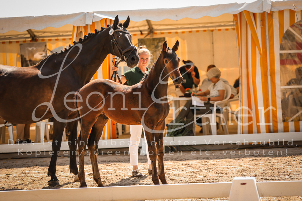 07.DoWBS00045 | Leoni Ertmer Photography - Realisiert mit Pictrs.com