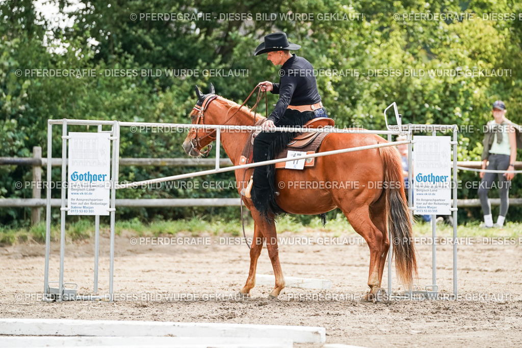 DSC06069 | Pferdegrafie