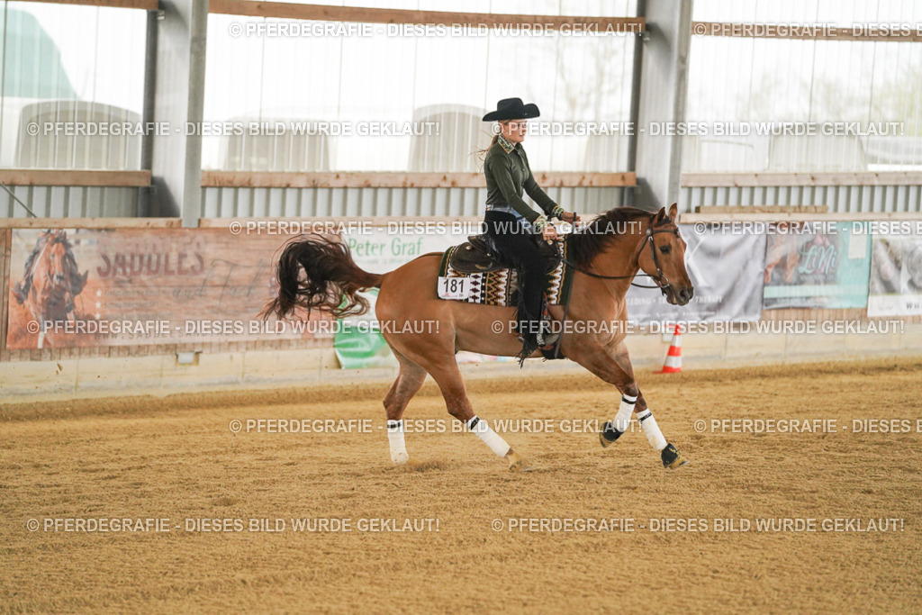 DSC07962 | Pferdegrafie