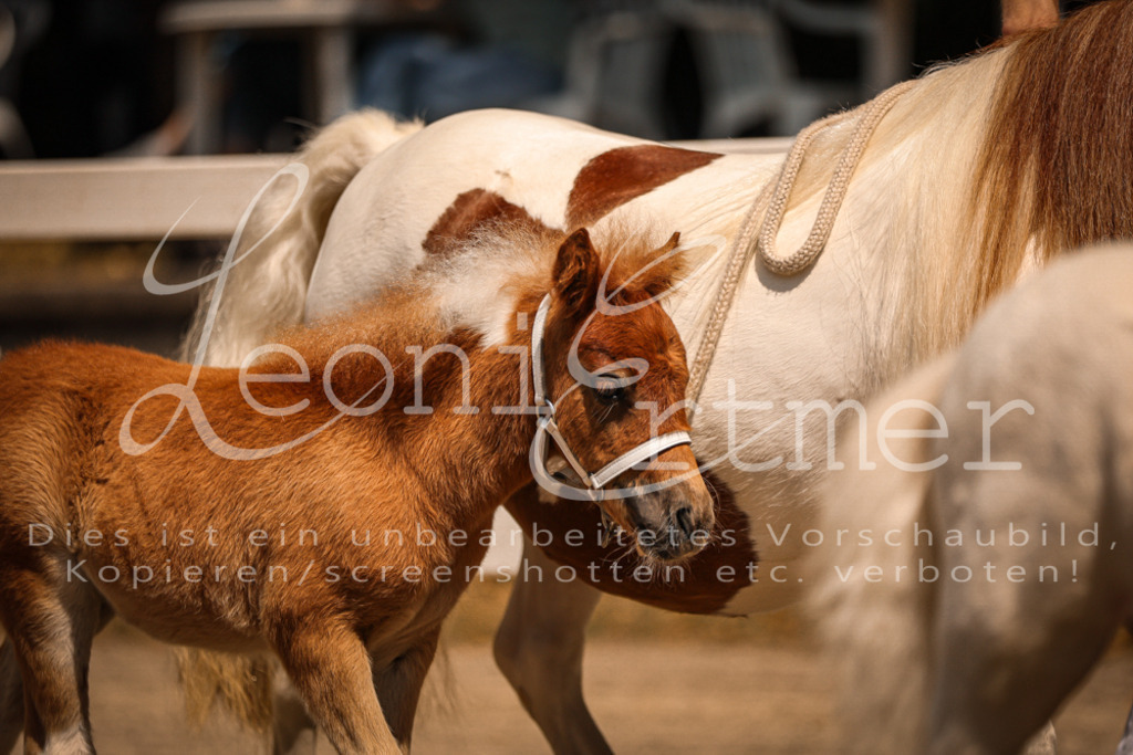 01.DoKR00147 | Leoni Ertmer Photography - Realisiert mit Pictrs.com