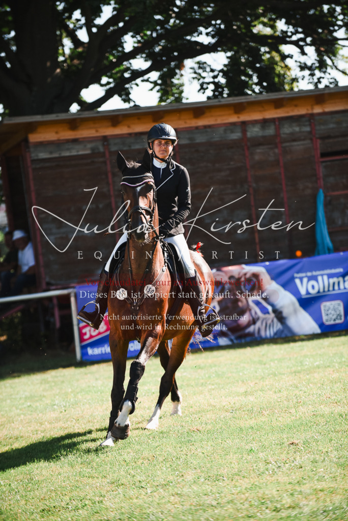 DSC_2368 | Pferde- und Turnierfotografie in Westsachsen. Pferdeportraits, Auftragszeichnungen und intuitive Kunst.