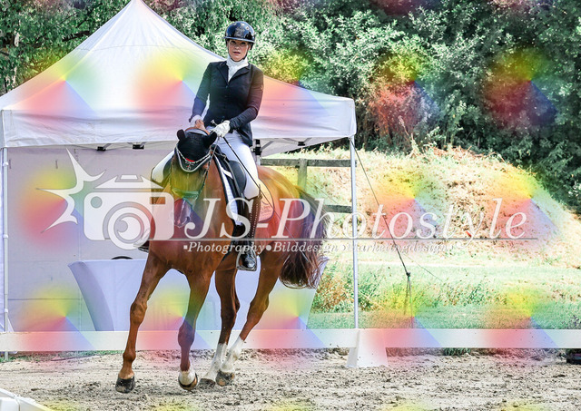 20250726_Dressurreiterprfg_Kl.L-74 | JS-Photostyle - Sport-/Portrait- & Eventfotografie
