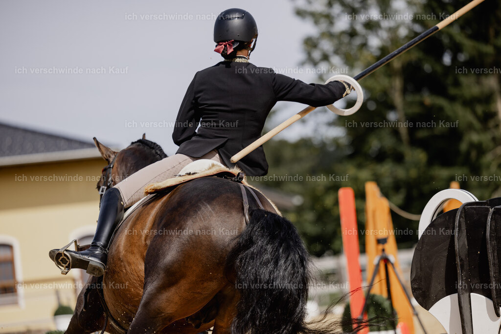 Virginie12FHC2025-20646 | working equitationturnier fotograf videograf stoibphotography marixx film working equitation deutschland reitsport turnierfotografie eventfotografie equestrian events