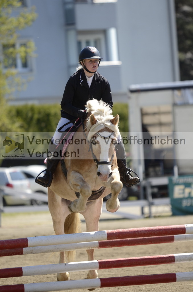 _DSC8615 | equestrian-live-com